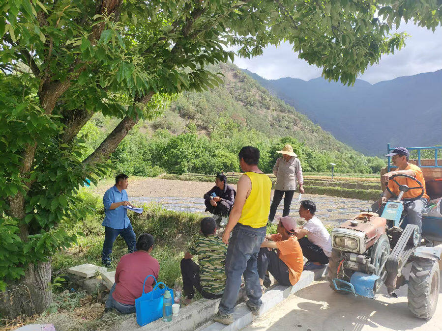田间课堂（管双权 摄）