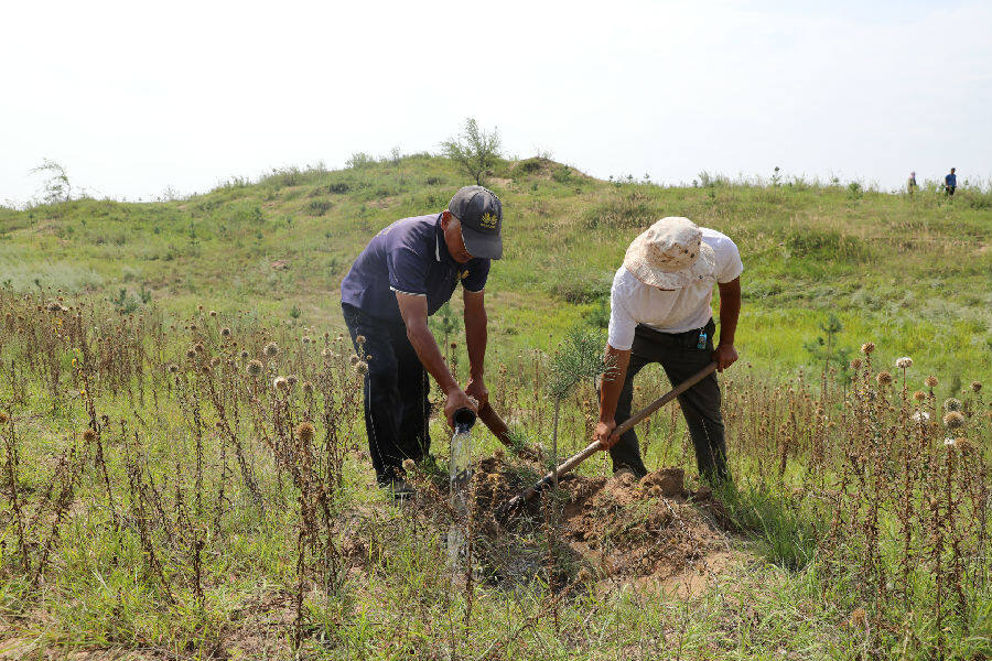 林业工人正在进行苗木管护(杨悦 摄) 林业工人正在进行苗木管护(杨悦 摄)