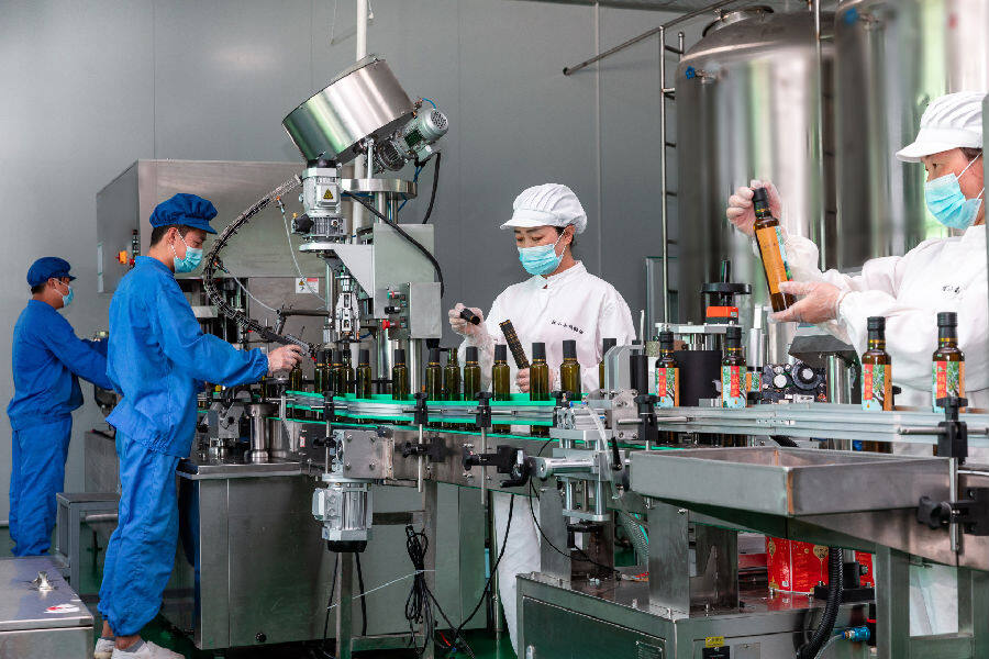 甘肃陇小南生态农业发展有限公司工人正在生产核桃油(韩永强 摄) 甘肃陇小南生态农业发展有限公司工人正在生产核桃油(韩永强 摄)