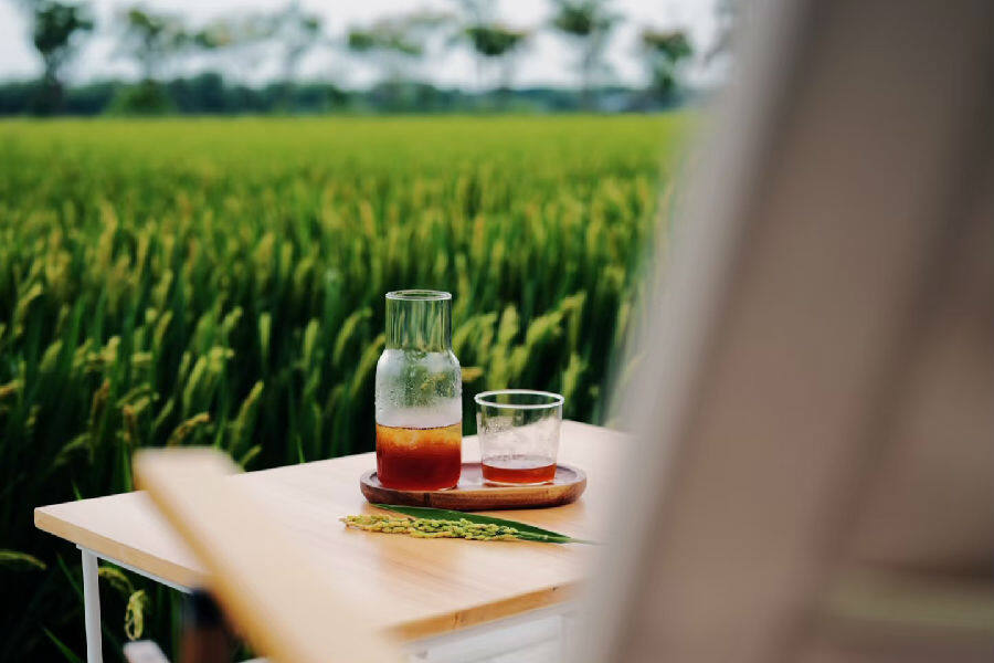 千灯镇以农文旅融合为抓手,大力发展“村咖经济”热门打卡地。(汪宇陆 摄) 千灯镇以农文旅融合为抓手,大力发展“村咖经济”热门打卡地。(汪宇陆 摄)