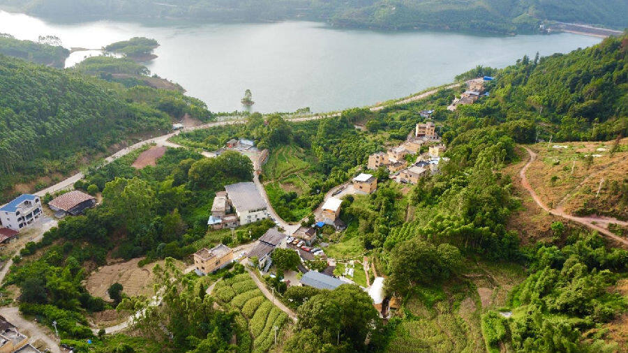 狮南村村貌航拍一角(覃文杰 摄) 狮南村村貌航拍一角(覃文杰 摄)