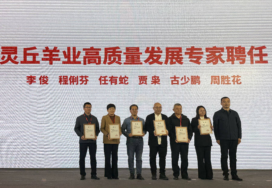  颁发专家聘任证书 （席兆平 摄）