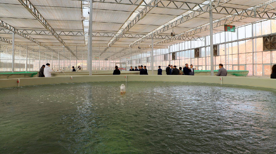 明阳农场现代设施渔业创新示范中心(邓蕾雅 摄) 明阳农场现代设施渔业创新示范中心(邓蕾雅 摄)