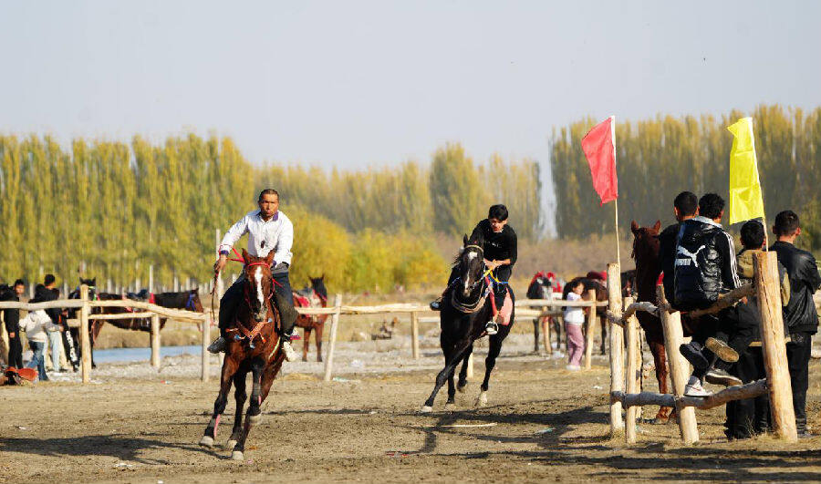 11月1日,在温宿县恰格拉克乡喀拉都维村库托草原上,来自温宿县及周边县市的骑手参加赛马比赛。(赵新昌 摄) 11月1日,在温宿县恰格拉克乡喀拉都维村库托草原上,来自温宿县及周边县市的骑手参加赛马比赛。(赵新昌 摄)