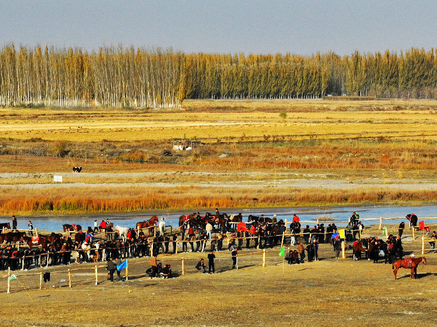 11月1日,在温宿县恰格拉克乡喀拉都维村库托草原上,当地村民和游客观看赛马比赛。(赵新昌 摄) 11月1日,在温宿县恰格拉克乡喀拉都维村库托草原上,当地村民和游客观看赛马比赛。(赵新昌 摄)