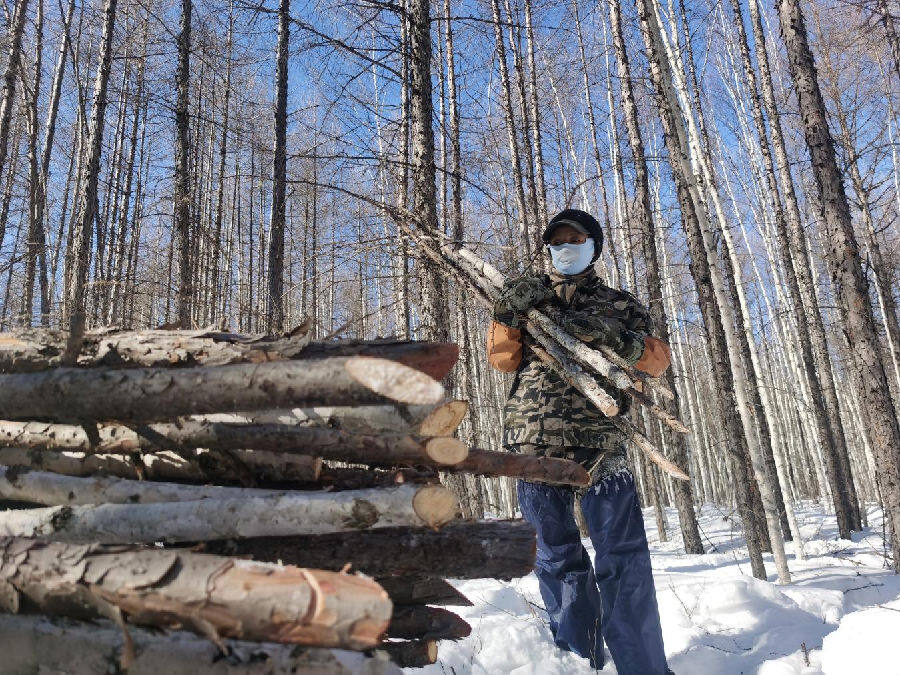 林业局工作人员在进行修枝、割灌作业(韩贵杰 摄)