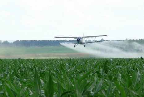 农药喷洒 (王宇 摄) 农药喷洒 (王宇 摄)