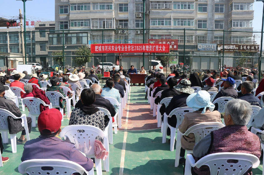 村民争相入股(邢飞 摄) 村民争相入股(邢飞 摄)