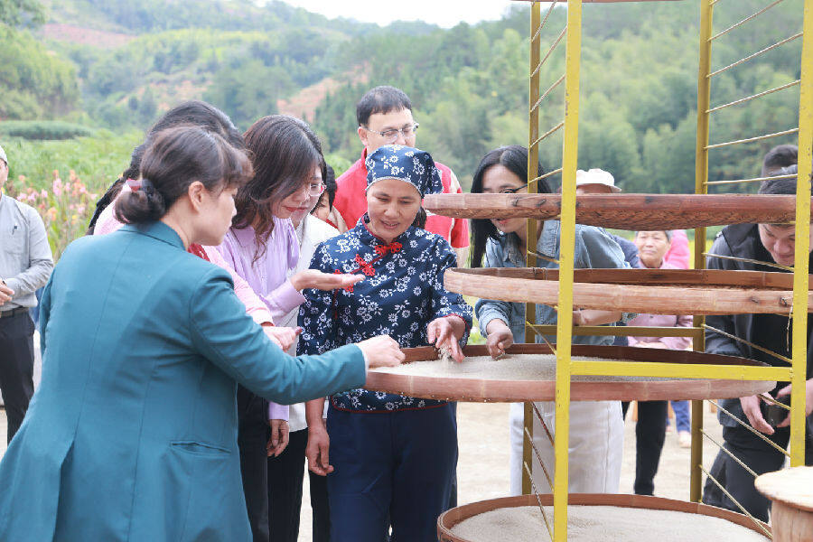 黄爱珠介绍米香制作流程(汤平 摄) 黄爱珠介绍米香制作流程(汤平 摄)