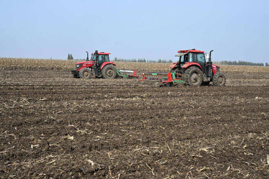 山东省青岛市即墨区段泊岚镇西瓦戈庄村农民驾驶拖拉机播种冬小麦。(张涛 摄)